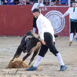 Recortes